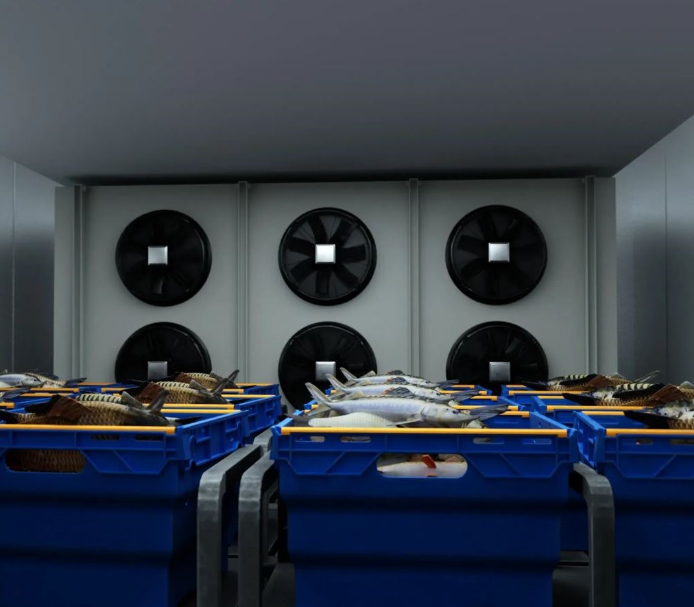 Fish-stored-in-cold-storage