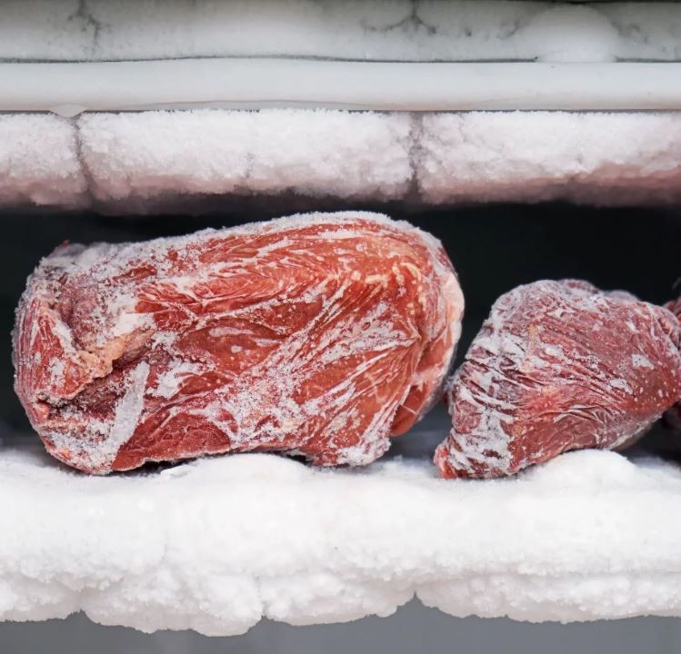 North Pro Equipment Cold Storage Freezer Manufacturer for Beef Storage Kansas