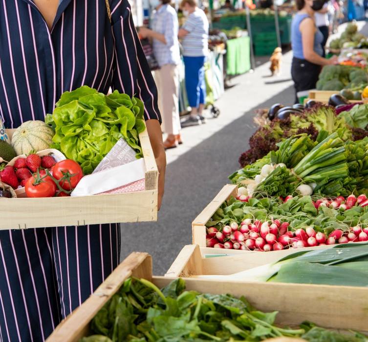 North Pro Equipment Cold Storage Manufacturer for Farmers in Quebec