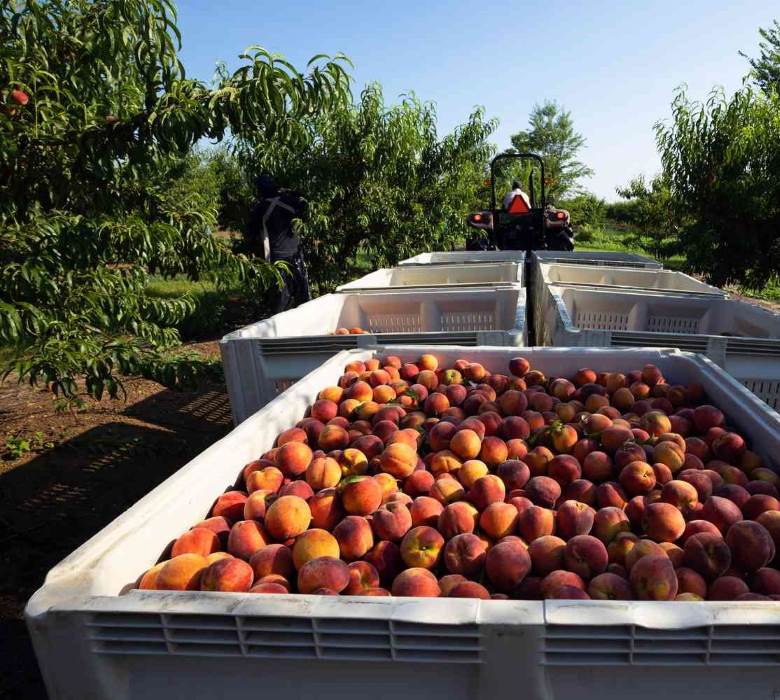 North Pro Equipment Cold Storage Manufacturer for Framers in Georgia