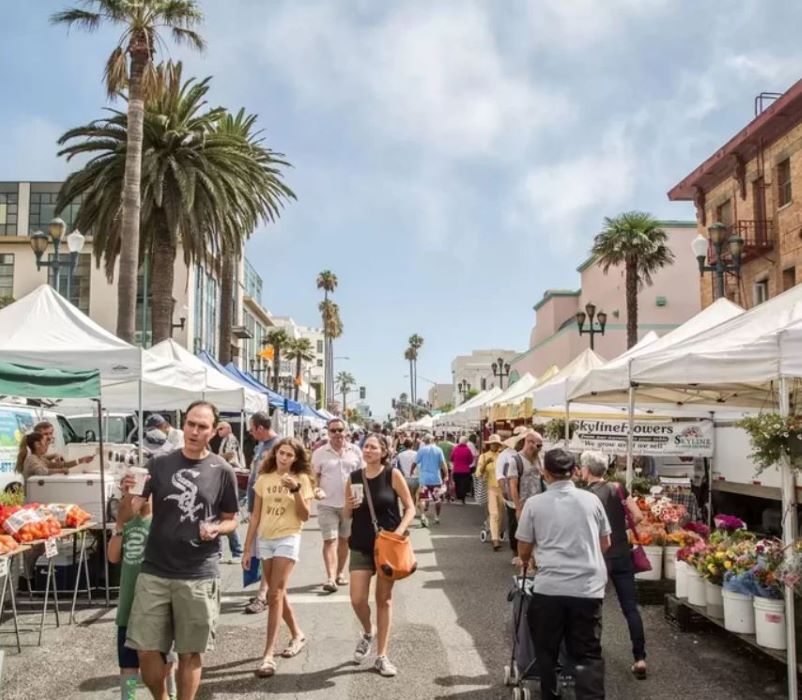 North Pro Equipment Cold Storage Solution Manufacturer for Small Businesses California