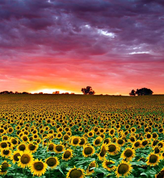 North Pro Equipment Cold Storage Solutions Manufacturer Kansas