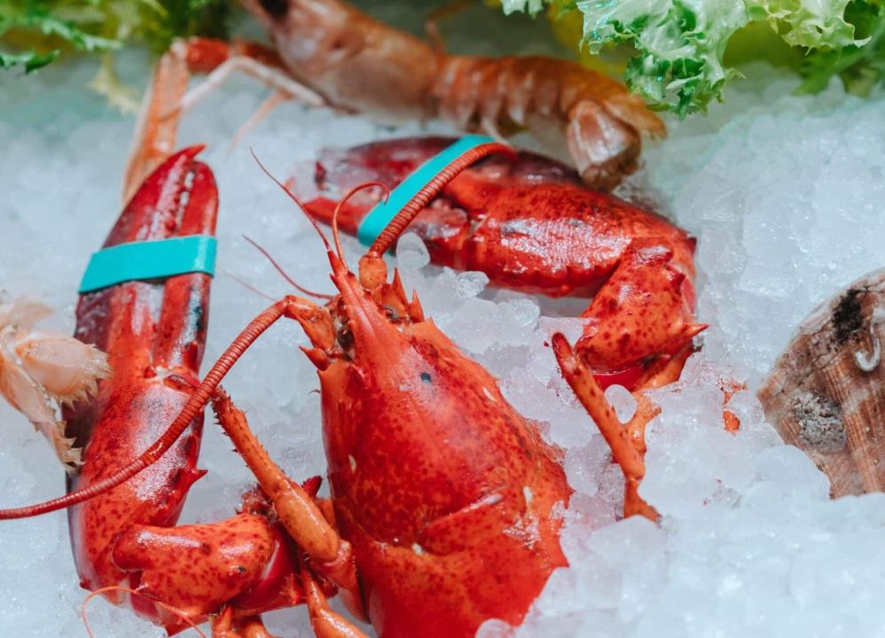 North Pro Equipment Cold Storage Trailers Manufacturer seafood Maine