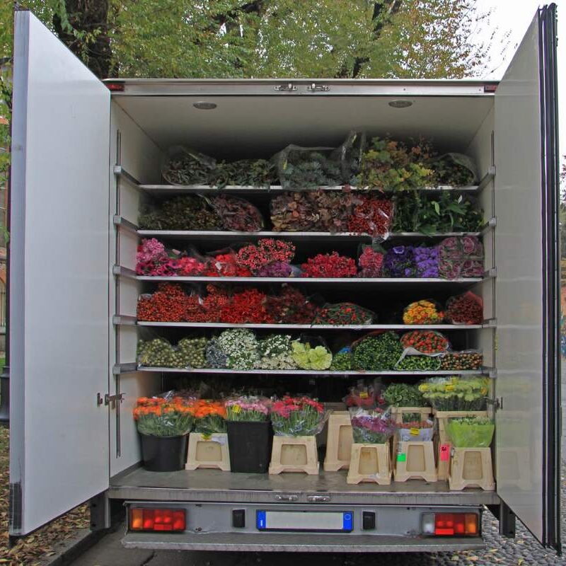 flower storage cooler